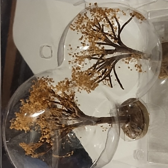 Autumn village trees - Picture 2 of 10